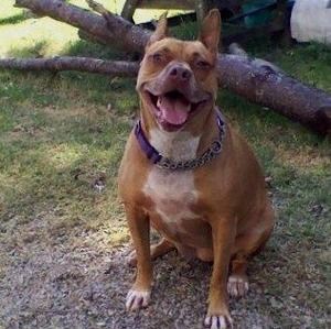 Meet your Posher, Terri